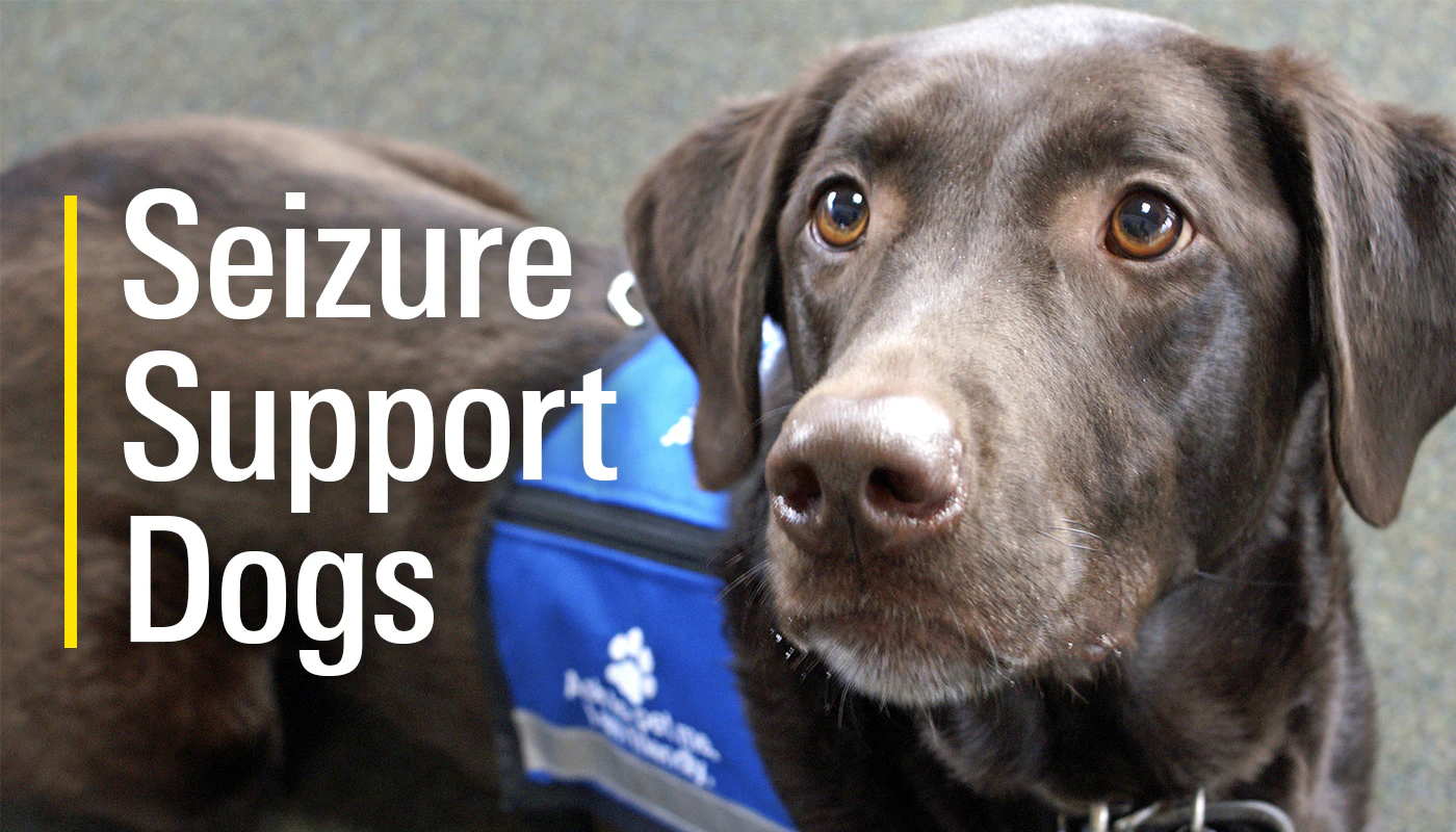 Seizure Support Dogs