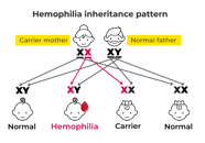 Hemophilia Miesbach H mophilie Gentherapie RYWXSV