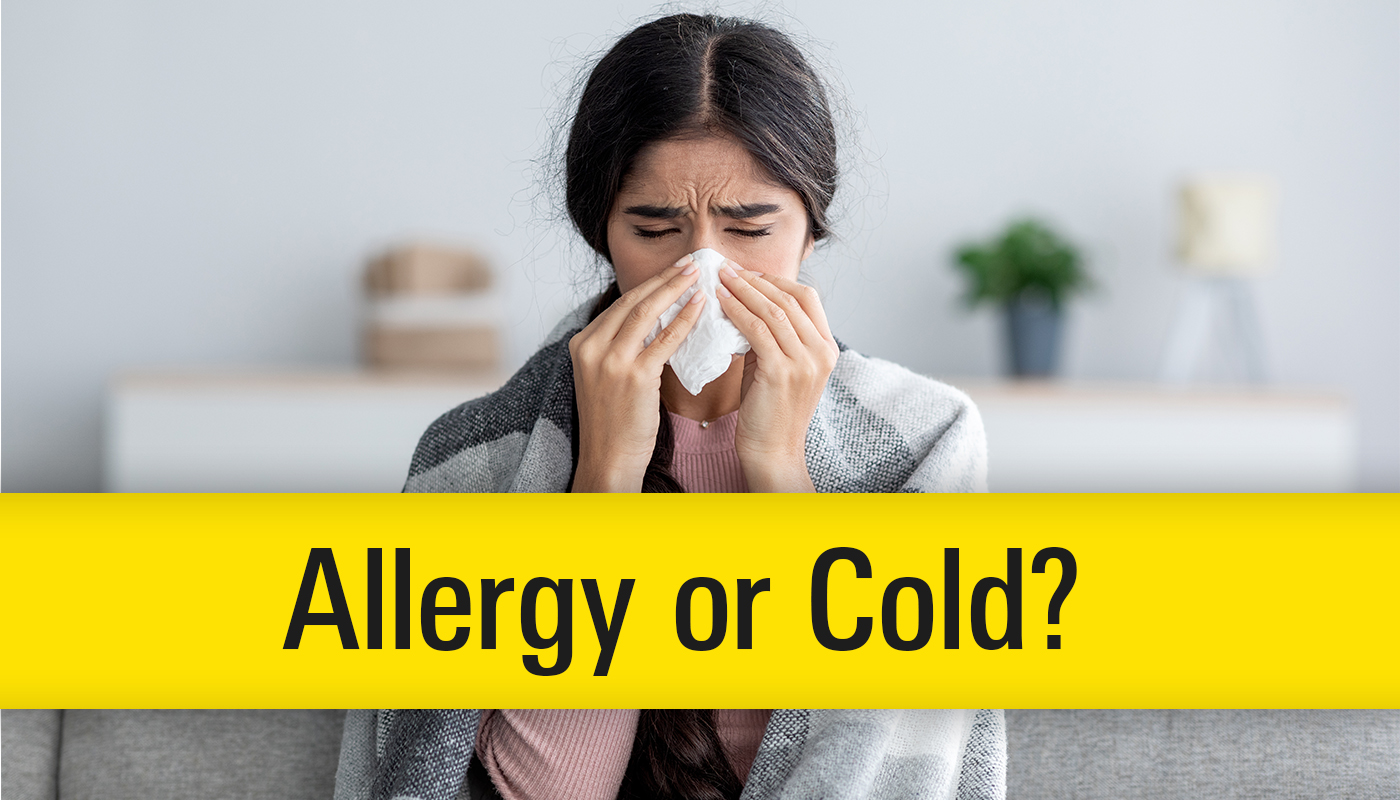 Allergy Or Cold   BL Allergyorcold Hero 