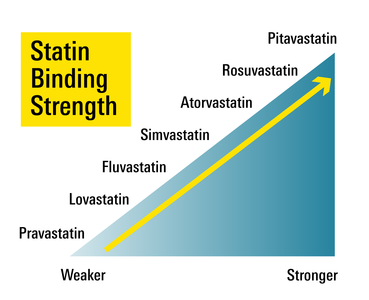 Statin binding strength
